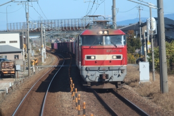 JR貨物 EF510形電気機関車 鉄道フォト・写真 by hiroshiさん 福井駅 (福井県|JR)：2021年11月07日12時ごろ