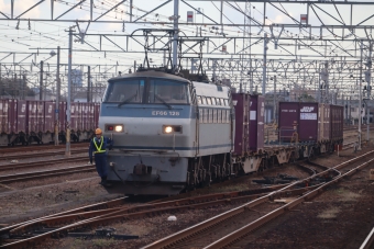 JR貨物 国鉄EF66形電気機関車 鉄道フォト・写真 by hiroshiさん 稲沢駅：2021年11月11日13時ごろ