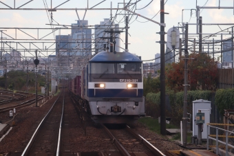 JR貨物EF210形電気機関車 鉄道フォト・写真 by hiroshiさん 枇杷島駅 (JR)：2021年11月11日13時ごろ