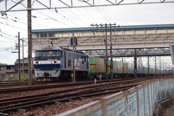 JR貨物EF210形電気機関車 鉄道フォト・写真 by hiroshiさん 清洲駅：2021年11月26日14時ごろ