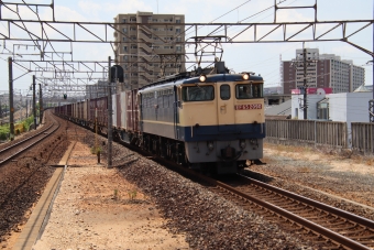 JR貨物 国鉄EF65形電気機関車 鉄道フォト・写真 by hiroshiさん 大高駅：2022年05月28日10時ごろ