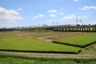 JR東海 N700系新幹線電車 鉄道フォト・写真 by hiroshiさん ：2022年09月05日11時ごろ