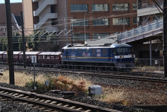 JR貨物EF210形電気機関車 鉄道フォト・写真 by hiroshiさん 神宮前駅：2022年12月20日10時ごろ