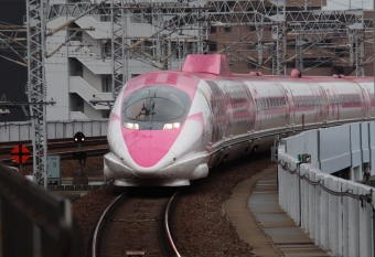 JR西日本 500系新幹線電車 ハローキティー列車 鉄道フォト・写真 by hiroshiさん ：2023年07月03日09時ごろ