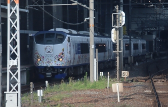 JR西日本 はるか(特急) 鉄道フォト・写真 by hiroshiさん 京都駅 (JR)：2023年07月03日17時ごろ
