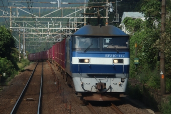 JR貨物 EF210形 EF210-117 鉄道フォト・写真 by hiroshiさん 柏原駅 (滋賀県)：2023年09月13日08時ごろ