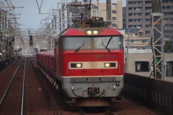 JR貨物 EF510形電気機関車 鉄道フォト・写真 by hiroshiさん 一宮駅：2023年09月27日10時ごろ