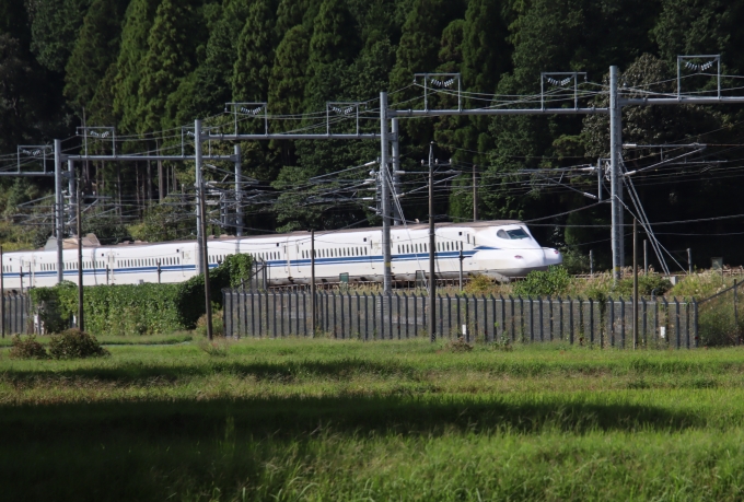 JR東海 N700S新幹線電車 鉄道フォト・写真 by hiroshiさん 関ケ原駅：2023年10月02日13時ごろ