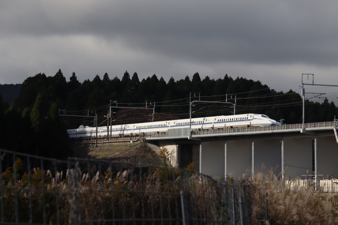 JR東海 N700S新幹線電車 鉄道フォト・写真 by hiroshiさん 関ケ原駅：2023年11月14日13時ごろ