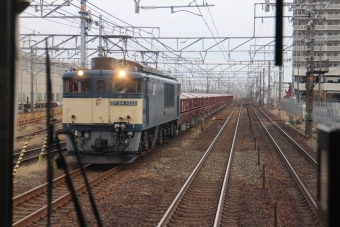 JR貨物 国鉄EF64形電気機関車 鉄道フォト・写真 by hiroshiさん 稲沢駅：2021年12月19日15時ごろ
