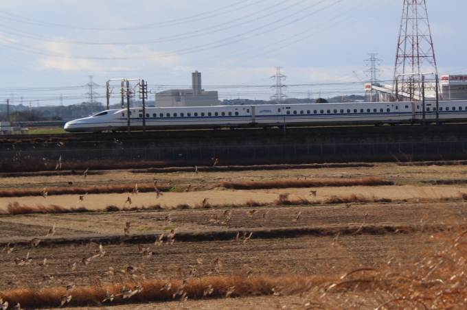 JR東海 N700系新幹線電車 鉄道フォト・写真 by hiroshiさん ：2024年01月08日12時ごろ