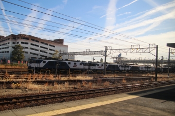 JR貨物 国鉄EF64形電気機関車 鉄道フォト・写真 by hiroshiさん ：2024年01月19日10時ごろ