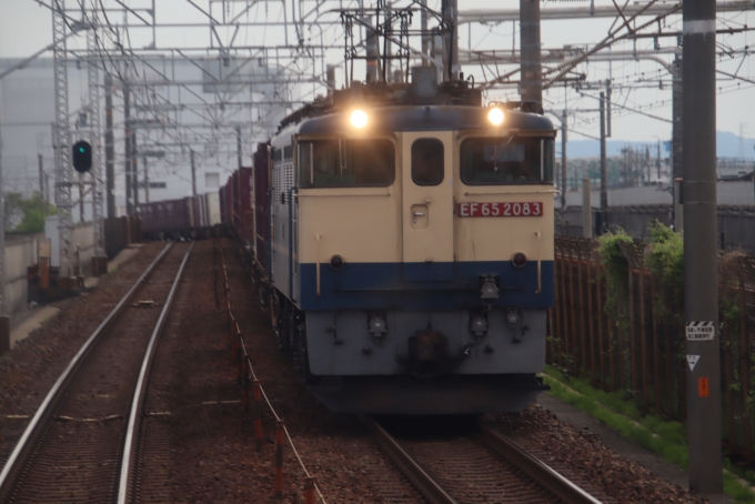 JR東海 国鉄EF65形電気機関車 鉄道フォト・写真 by hiroshiさん ：2024年04月26日08時ごろ