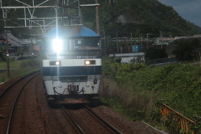 JR貨物EF210形電気機関車 鉄道フォト・写真 by hiroshiさん ：2024年05月16日09時ごろ