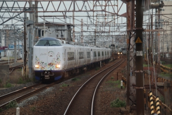 JR西日本 はるか(特急) 鉄道フォト・写真 by hiroshiさん ：2024年05月16日12時ごろ