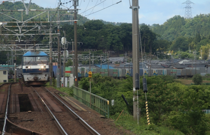 JR貨物EF210形電気機関車 鉄道フォト・写真 by hiroshiさん 醒ケ井駅：2024年05月29日09時ごろ