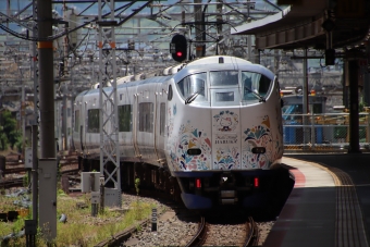 JR西日本 はるか(特急) 鉄道フォト・写真 by hiroshiさん 京都駅 (JR)：2024年06月03日12時ごろ
