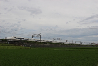 JR東海 N700系新幹線電車 鉄道フォト・写真 by hiroshiさん 三河安城駅：2020年06月28日12時ごろ