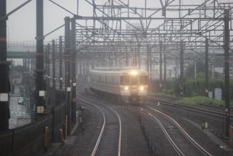JR東海313系電車 鉄道フォト・写真 by hiroshiさん 大高駅：2020年07月18日10時ごろ