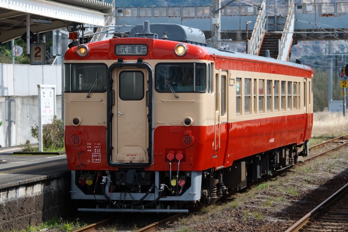 鉄道フォト・写真：JR九州 キハ40-8038 キハ40-3038 田野駅 (宮崎県) 鉄道フォト・写真 by jp_sakuraさん - 撮影日 2024/03/12 12:50