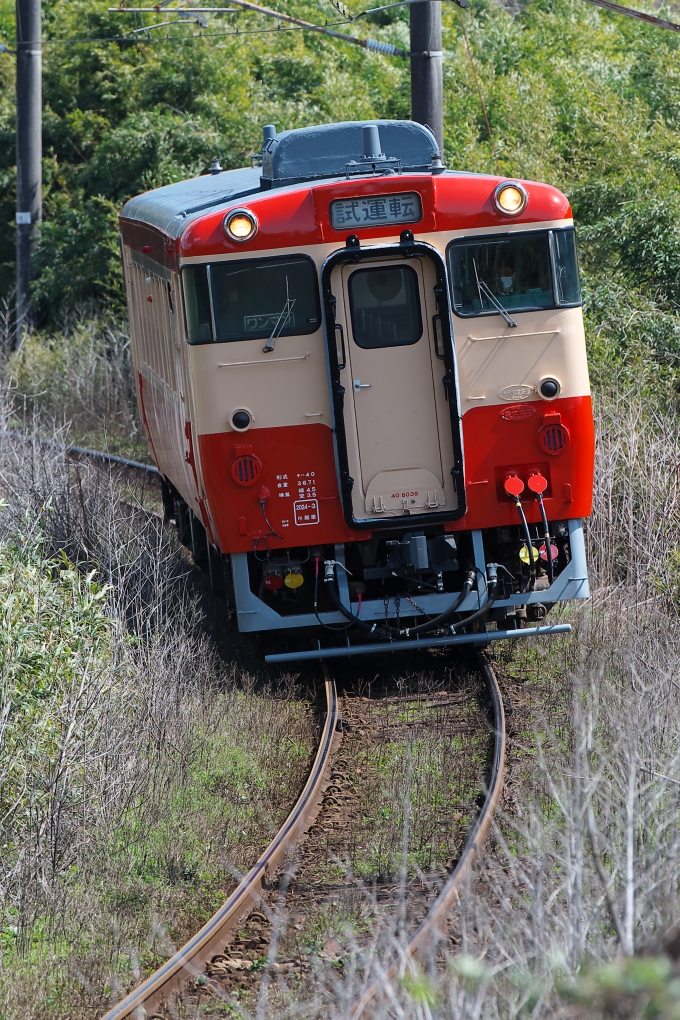 鉄道フォト・写真：JR九州 キハ40-8038 キハ40-8038 田野駅 (宮崎県) 鉄道フォト・写真 by jp_sakuraさん - 撮影日 2024/03/12 12:50