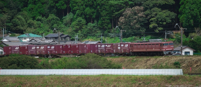 JR貨物 国鉄EF81形電気機関車 EF81-717 鉄道フォト・写真 by jp_sakuraさん 北川駅：2021年09月30日12時ごろ
