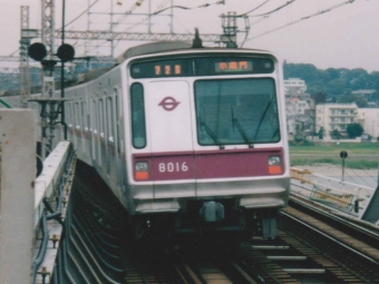 8116F 鉄道フォト・写真