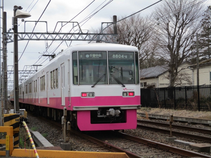 新京成電鉄 新京成クハ8800形 8804-6 鉄道フォト・写真 by 総武本線沿線鉄道CH【活動停止中】さん 元山駅 (千葉県)：2021年03月07日13時ごろ