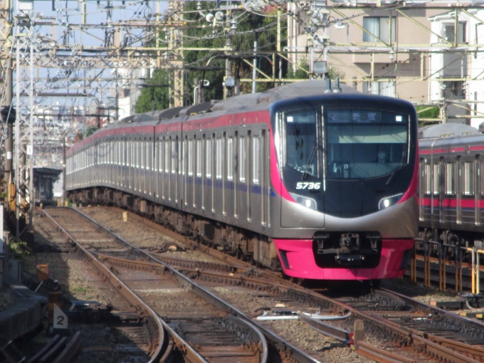 鉄道フォト・写真：京王電鉄 京王5000系電車(2代) 京王ライナー 5736 桜上水駅 鉄道フォト・写真 by 総武本線沿線鉄道CH【活動縮小中】さん - 撮影日 2022/11/12 10:02