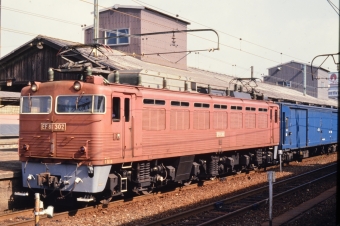 国鉄EF81形電気機関車 EF81-302 鉄道フォト・写真 by UNASUNAさん 門司駅：1986年03月12日10時ごろ