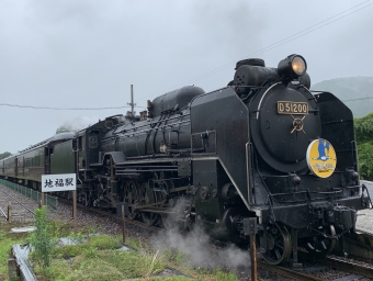 JR西日本 D51形 SLやまぐち号(快速) D51 200 鉄道フォト・写真 by SALLYさん 地福駅：2019年07月20日12時ごろ