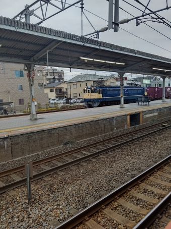 JR貨物 国鉄EF65形電気機関車 EF65-2101 鉄道フォト・写真 by 友弘貴之さん 須磨駅：2021年05月15日17時ごろ