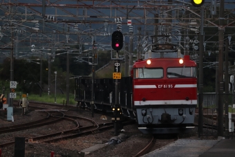 JR東日本 国鉄EF81形電気機関車 EF81 95 鉄道フォト・写真 by フレッシュマリオさん 友部駅：2021年09月06日17時ごろ