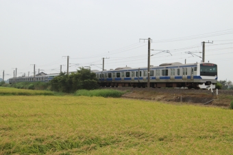 JR東日本E531系電車 鉄道フォト・写真 by フレッシュマリオさん 友部駅：2021年09月12日16時ごろ