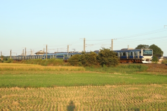 JR東日本E531系電車 鉄道フォト・写真 by フレッシュマリオさん 友部駅：2021年10月03日16時ごろ