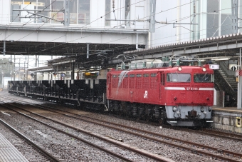JR東日本 国鉄EF81形電気機関車 EF81 98 鉄道フォト・写真 by フレッシュマリオさん 友部駅：2021年10月17日11時ごろ