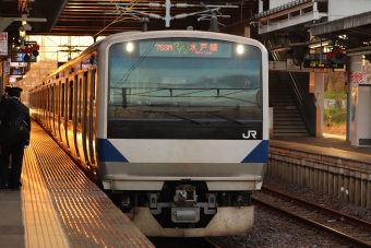 JR東日本 クハE531形 クハE531-1008 鉄道フォト・写真 by フレッシュマリオさん 友部駅：2021年11月03日16時ごろ