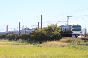 JR東日本E531系電車 鉄道フォト・写真 by フレッシュマリオさん 友部駅：2021年11月06日10時ごろ