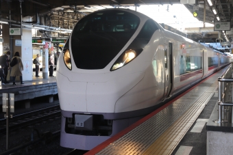 JR東日本 クハE656形 ときわ(特急) クハE656-2 鉄道フォト・写真 by フレッシュマリオさん 上野駅 (JR)：2021年11月13日09時ごろ