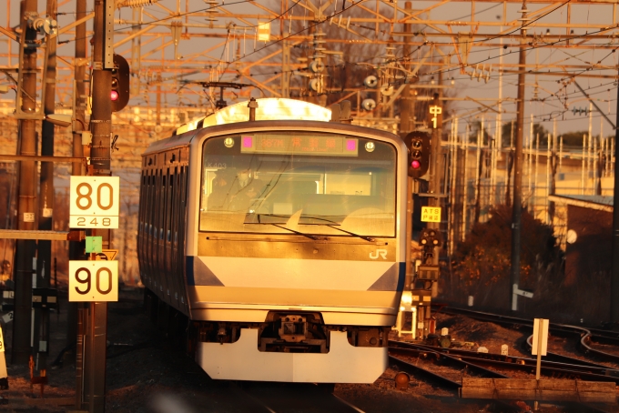 JR東日本 クハE530形 クハE530-3 鉄道フォト・写真 by フレッシュマリオさん 友部駅：2021年12月29日16時ごろ