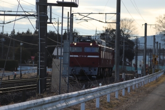 JR東日本 国鉄EF81形電気機関車 EF81 98 鉄道フォト・写真 by フレッシュマリオさん 友部駅：2022年01月30日15時ごろ