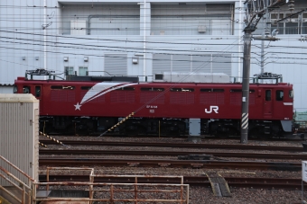 JR東日本 国鉄EF81形電気機関車 EF81 98 鉄道フォト・写真 by フレッシュマリオさん 水戸駅 (JR)：2022年02月04日16時ごろ