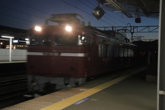 JR東日本 国鉄EF81形電気機関車 EF81 98 鉄道フォト・写真 by フレッシュマリオさん 友部駅：2022年02月07日17時ごろ