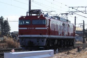 JR東日本 国鉄EF81形電気機関車 EF81 95 鉄道フォト・写真 by フレッシュマリオさん 友部駅：2022年02月27日15時ごろ