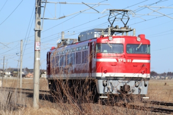 JR東日本 国鉄EF81形電気機関車 EF81 95 鉄道フォト・写真 by フレッシュマリオさん 友部駅：2022年02月27日15時ごろ
