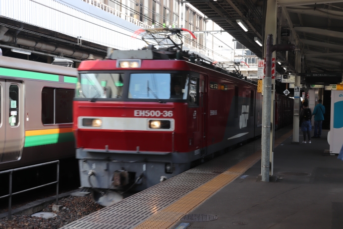 鉄道フォト・写真：JR貨物EH500形電気機関車 EH500-36 宇都宮駅 鉄道フォト・写真 by フレッシュマリオさん - 撮影日 2022/03/05 10:12