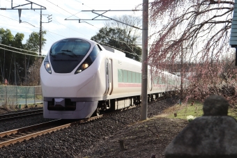 JR東日本 クハE657形 ときわ(特急) クハE657-7 鉄道フォト・写真 by フレッシュマリオさん 友部駅：2022年03月27日16時ごろ