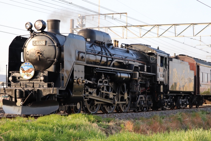 鉄道フォト・写真：JR東日本 国鉄C61形蒸気機関車 C61 20 新前橋駅 鉄道フォト・写真 by フレッシュマリオさん - 撮影日 2022/05/04 17:04