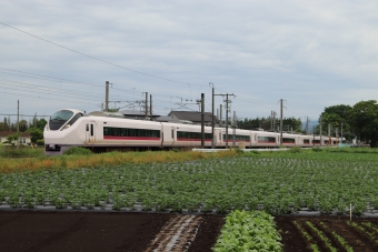 JR東日本E657系電車 ときわ(特急) 鉄道フォト・写真 by フレッシュマリオさん 友部駅：2022年05月15日16時ごろ