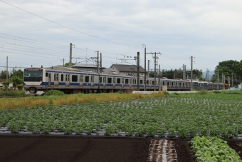 JR東日本E531系電車 鉄道フォト・写真 by フレッシュマリオさん 友部駅：2022年05月15日16時ごろ